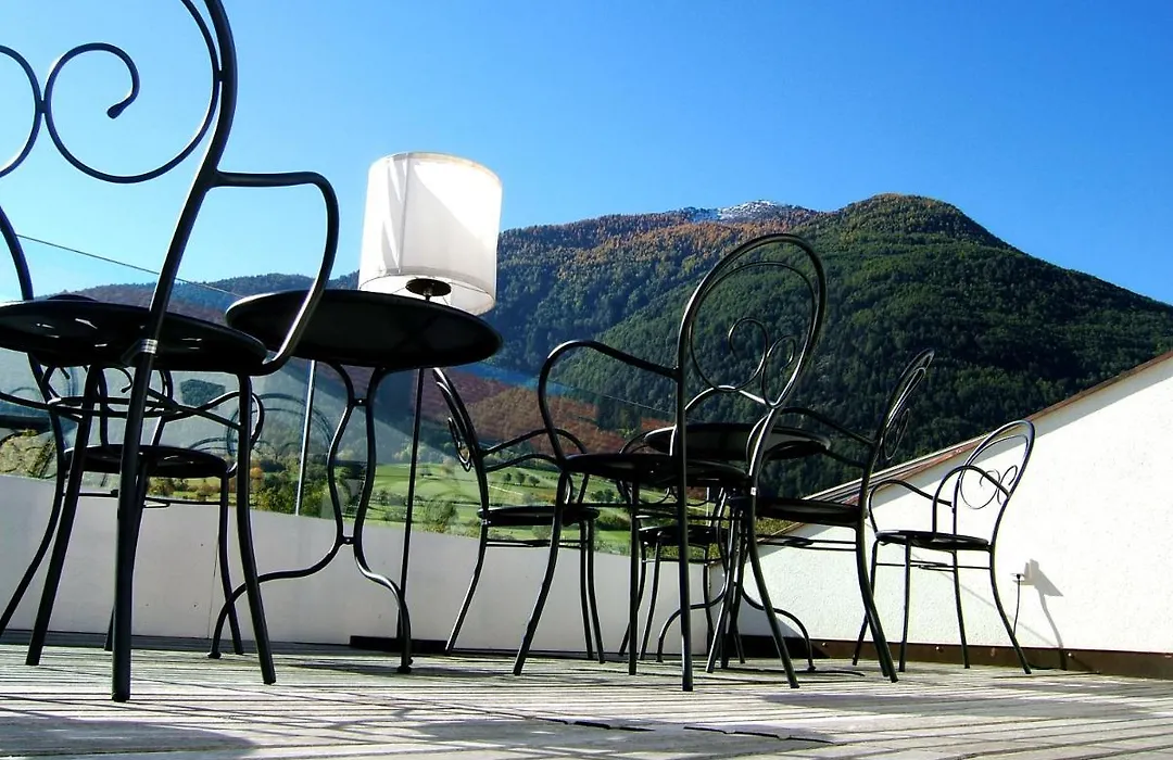 Hotel Gasthof Gruener Baum-1